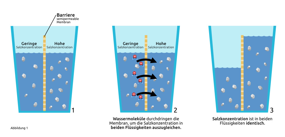 VISION AQUA Wasserfilter Osmose Darstellung