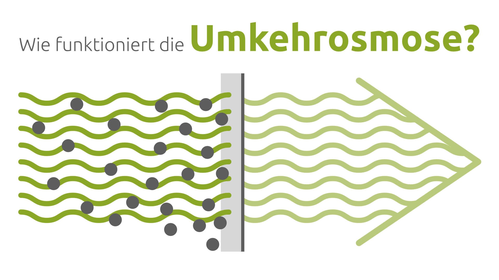 Wie funktioniert die Umkehrosmose? VISION AQUA Wasserfilter Blogbeitrag Einleitungsbild Wie funktioniert Umkehrosmose