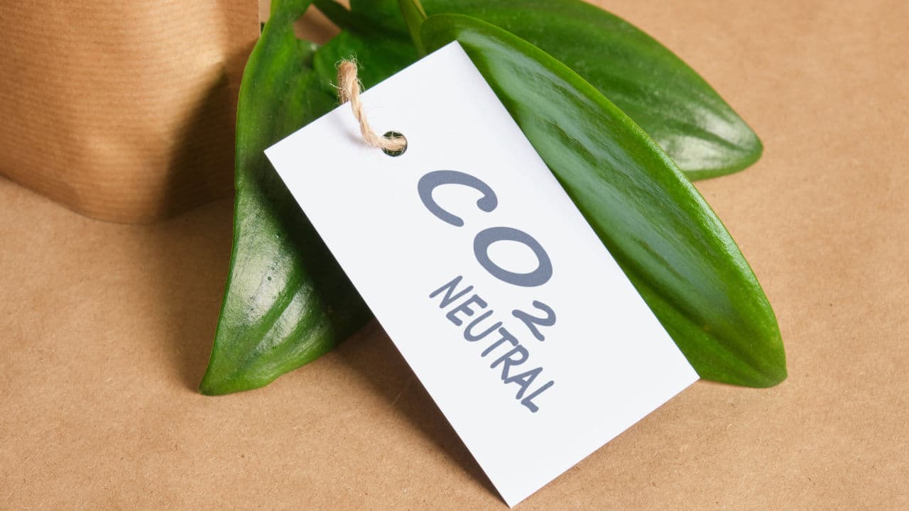 Grüne Blätter an dem ein Schild mit der Aufschrift CO2 Neutral angebracht ist